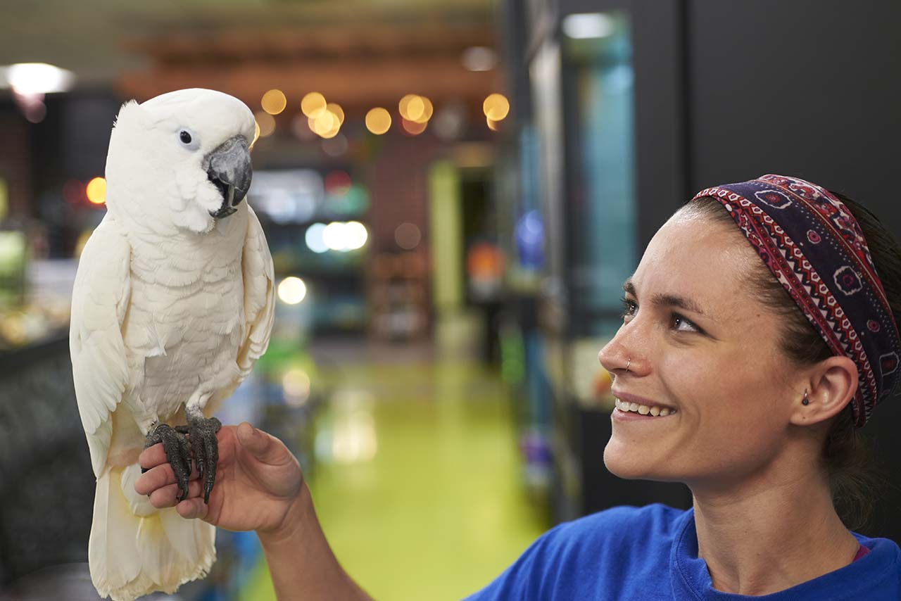 Bird being boarded at Friendly Pets