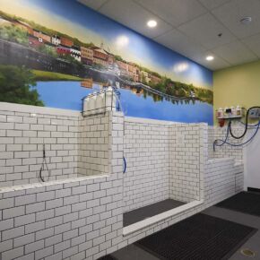 Self Serve Dog Wash room in Exeter