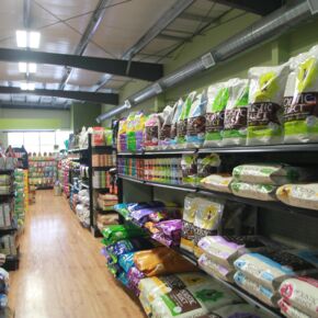 cat food aisle, Friendly Pets, Exeter, NH