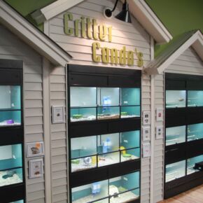 Little Critter Ave, Friendly Pets, Exeter, NH