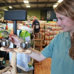 A Bird at Friendly Pets, Exeter location