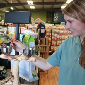 A Bird at Friendly Pets, Exeter location