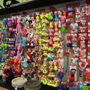 Pet supplies at Friendly Pets