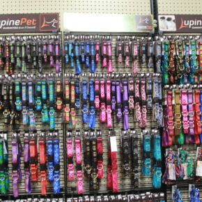 We work with NH based company's such as Lupine! Lupine collars at Friendly Pets