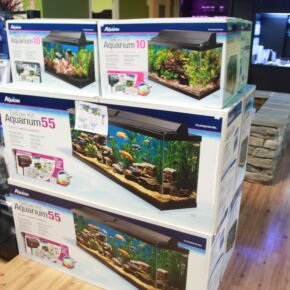 Aquarium accessories at Friendly Pets