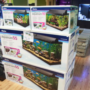 Aquarium accessories at Friendly Pets