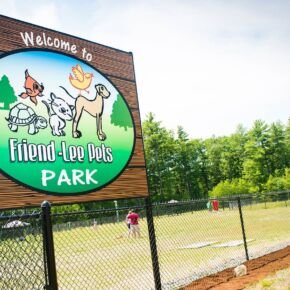 A Dog enjoying the Friendly Pets Dog Park