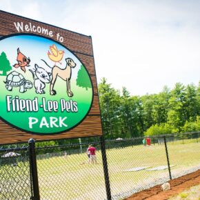 A Dog enjoying the Friendly Pets Dog Park