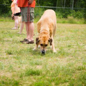 Friendly Pet's owner Craig Maggio and Tommy at the Dog Park in Lee